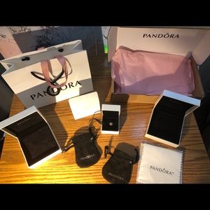 Pandora Set and Charm